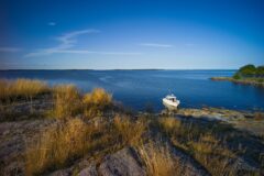 Salskaren Ehd0402