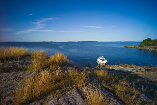 Salskaren Ehd0402