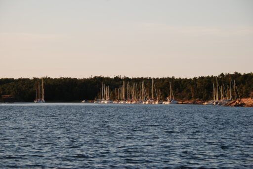 Vedviken