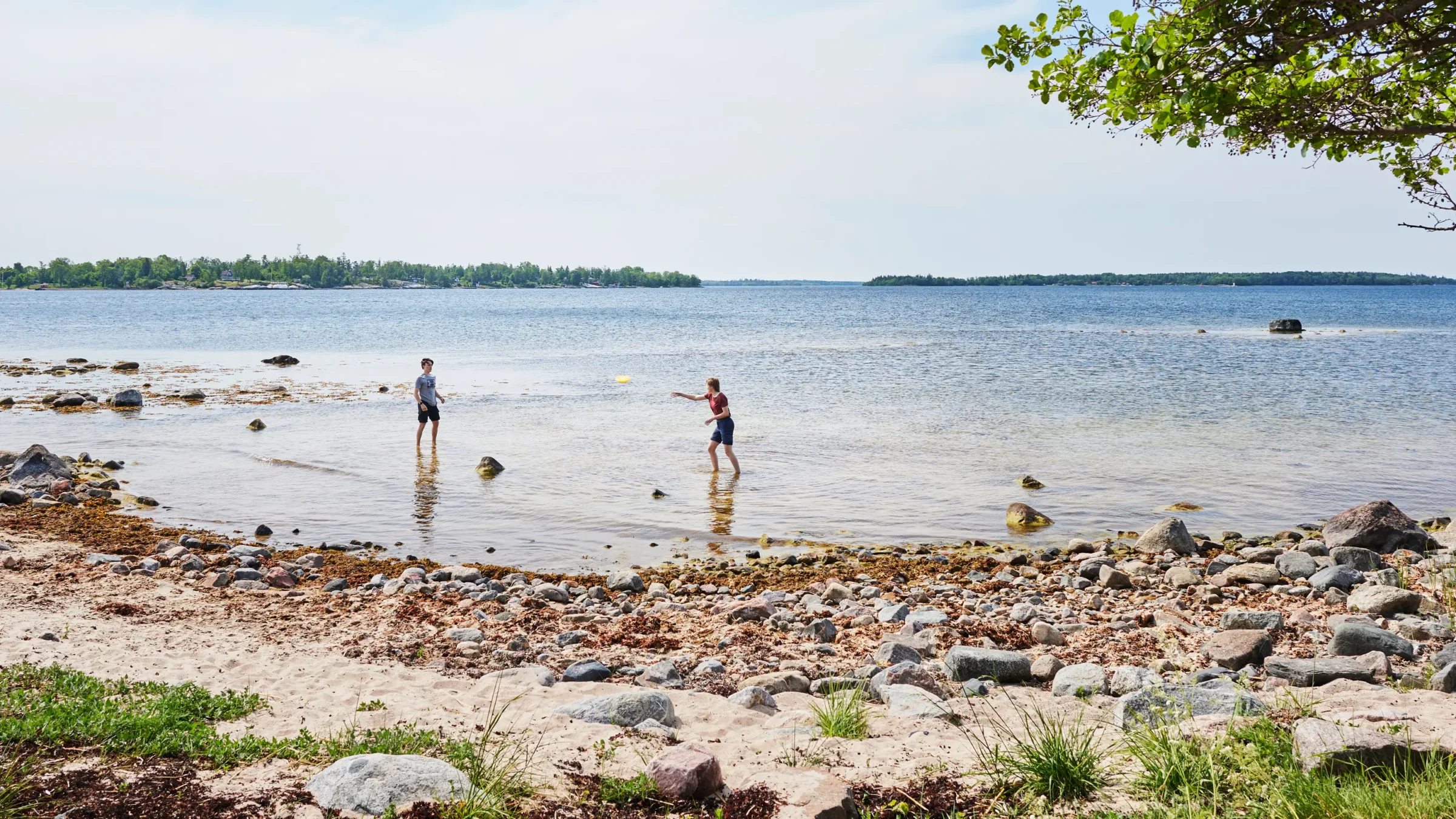 Människor kastar frisbee på en strand