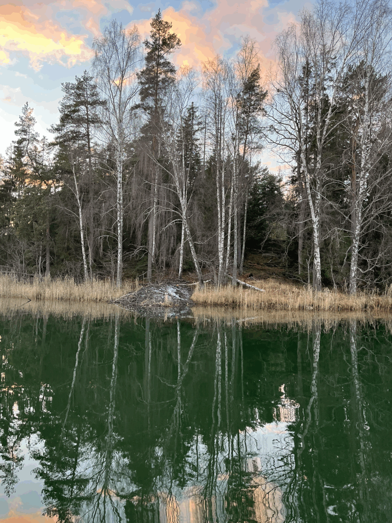 Östersjön i höstväder