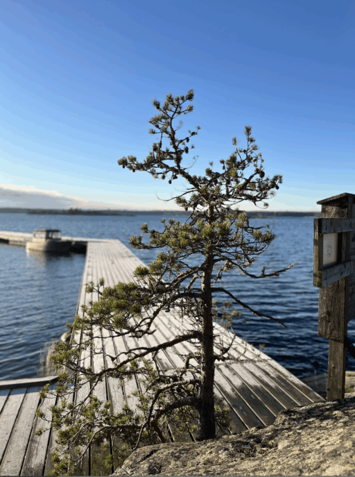 Brygga i vinterskrud