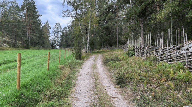 Fotograf: Johannes Båth